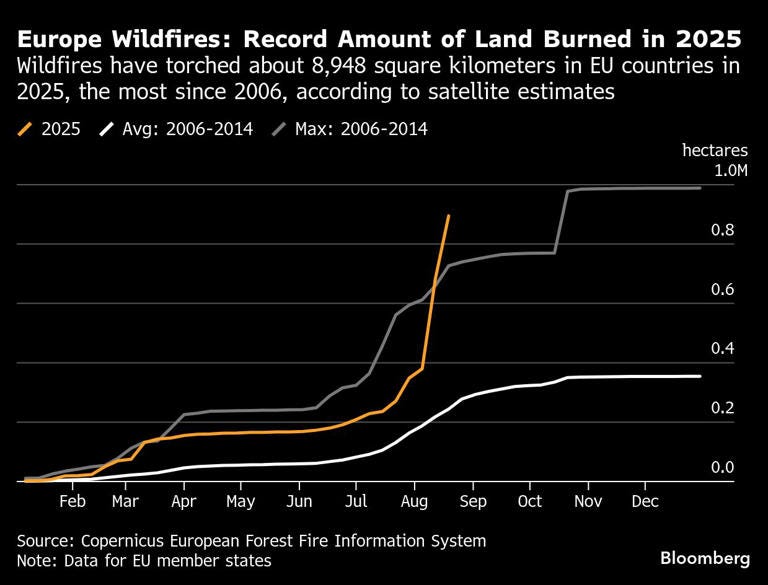 Europe Wildfires: Record Amount of Land Burned in 2025 | Wildfires have torched about 8,948 square kilometers in EU countries in 2025, the most since 2006, according to satellite estimates
