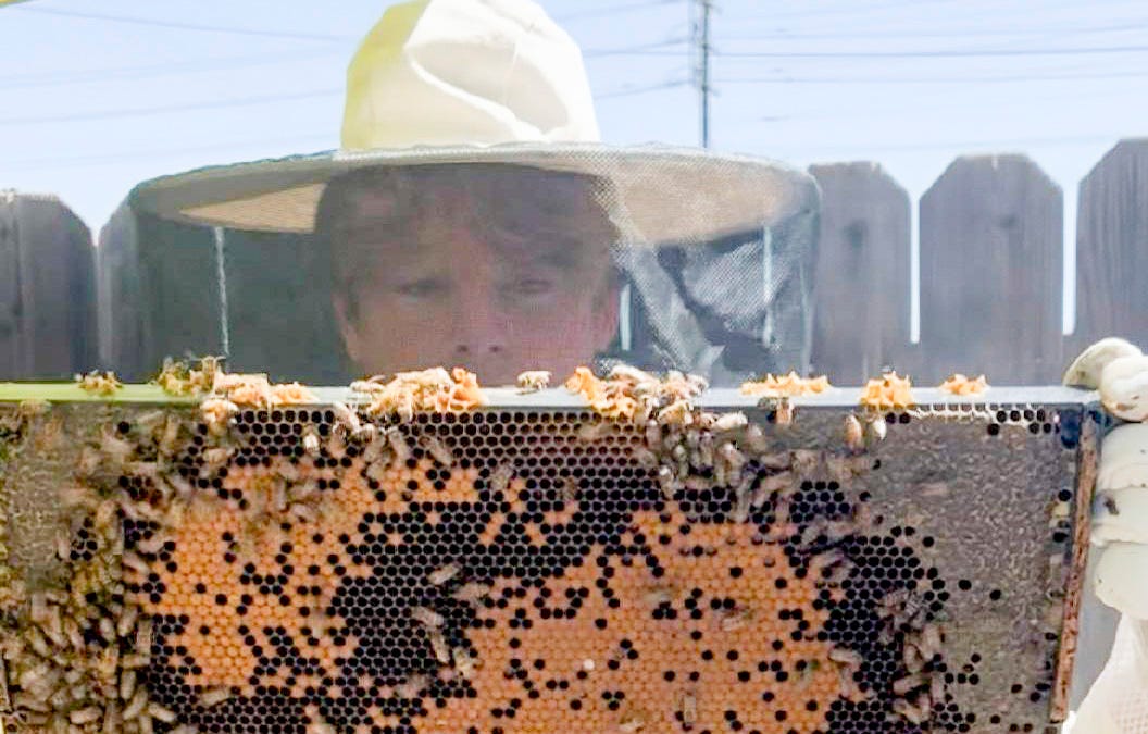Saturday, September 19: Backyard Beekeeping Workshop at The Learning Garden