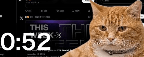 Cat Gatekeeper app screenshot