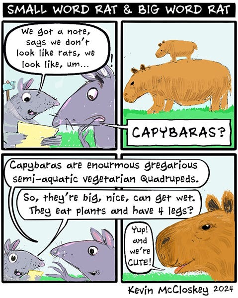 Small Word Rat and Big Word Rat look surprised, they received a note saying they look more like Capybaras. Big Word Rat says, “Capybaras are enormous, gregarious, semi-aquatic vegetarian quadrupeds.” Small Word Rat says, “So they’re big, wet, nice and have 4 legs.” The Capybara says, “Yup and we’re cute.”