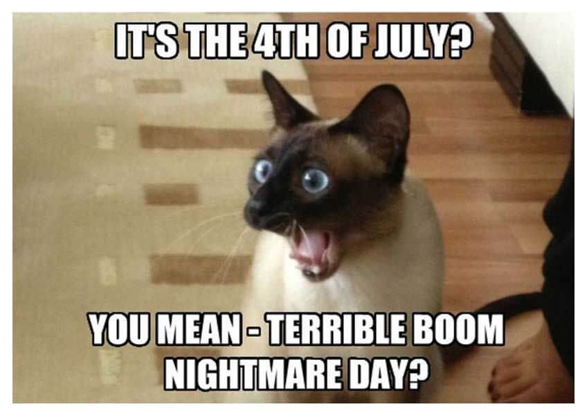Funny 4th of July Memes That Every American Can Laugh