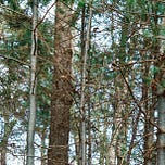 New England Parks Project