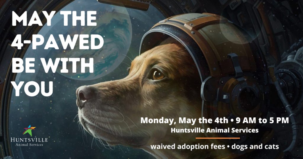 Cute dog with space helmet graphic promoting, May the 4-Pawed Be With You adoption promotion at Hunt…