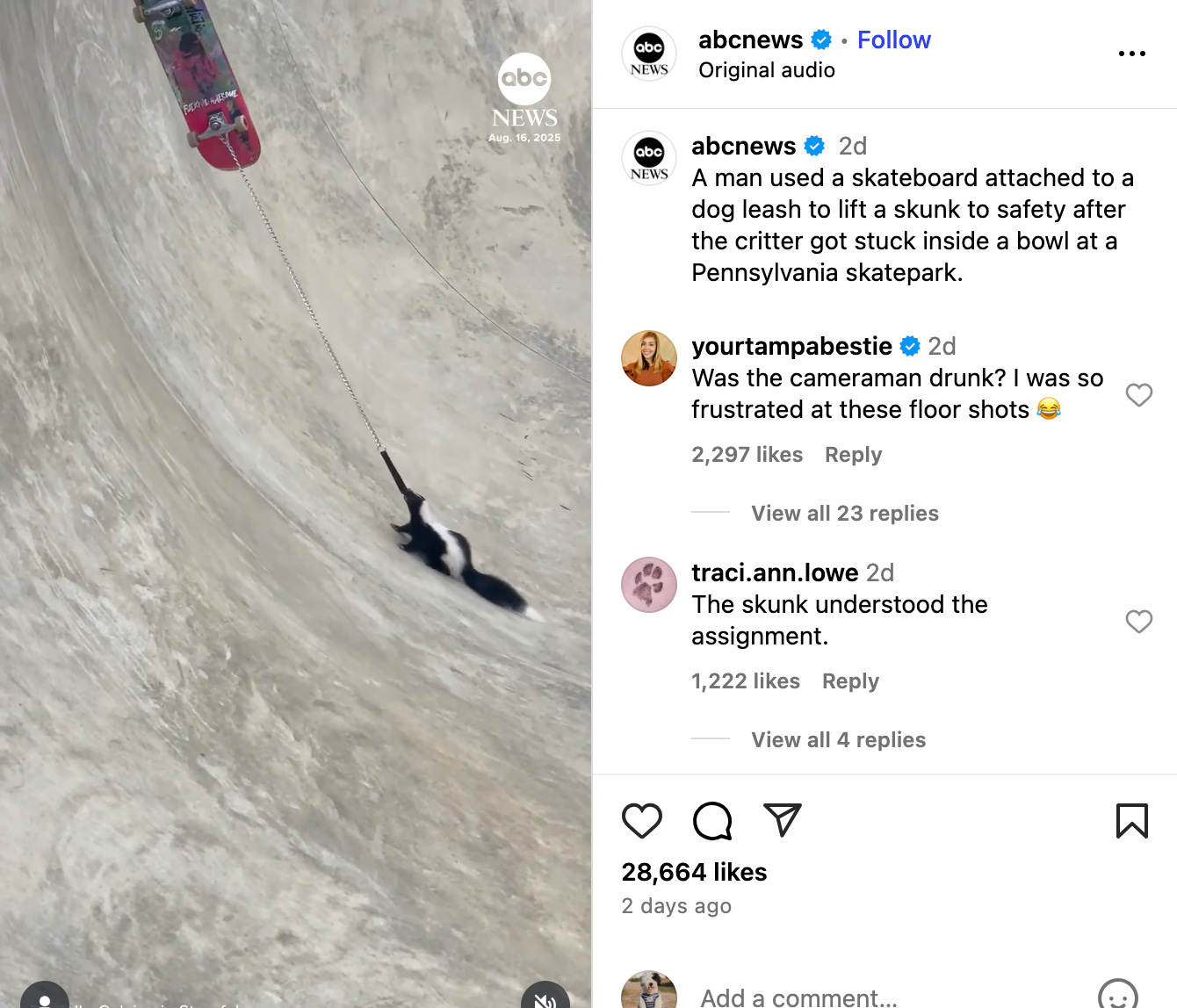 abc news ig screenshot of reel of skunk being dragged up skateboarding ramp on leash