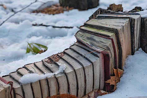 composting books, abstractions, photo essay, decomposing paper