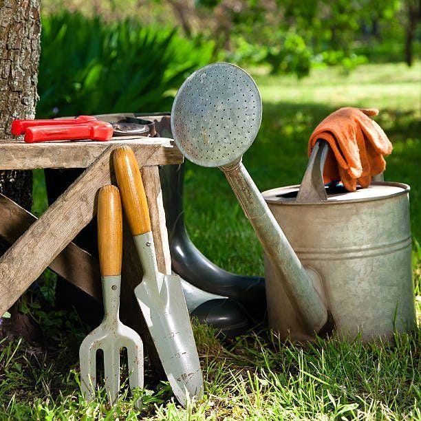 These Top-Rated Amazon Garden Tools will Make Your Outdoor Projects a Breeze