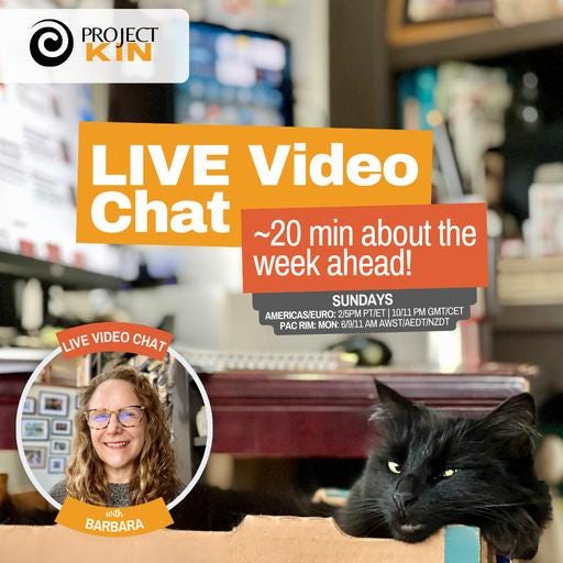 Live Video Chat - Projectkin Sunday Live Video Chat - Projectkin Sunday