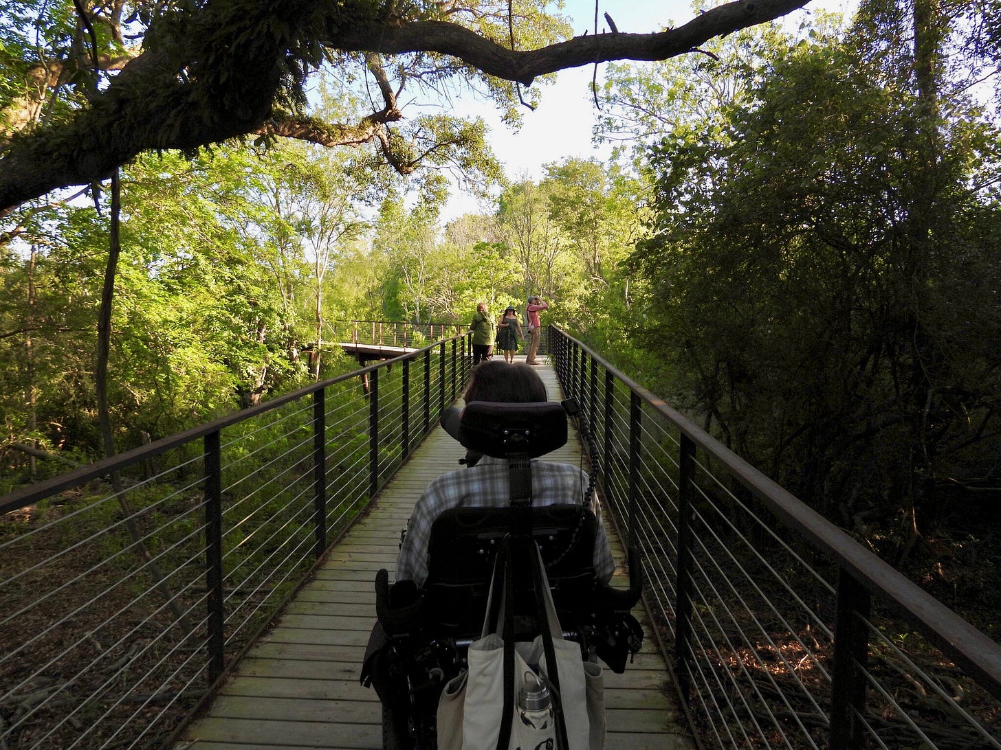 A photo shows Eric’s head and back as he drives his power wheelchair up an elevated boardwalk. Metal railings line the sides of the wooden boardwalk as it proceeds through a shaded forest and disappears into sun-soaked trees. Eric’s wife Nicole is walking toward him from the far end of the boardwalk.