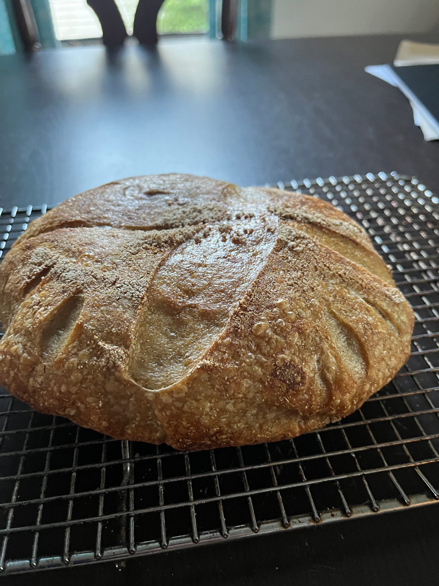 A fairly flat loaf of sourdough bread cooling on a wire rack
