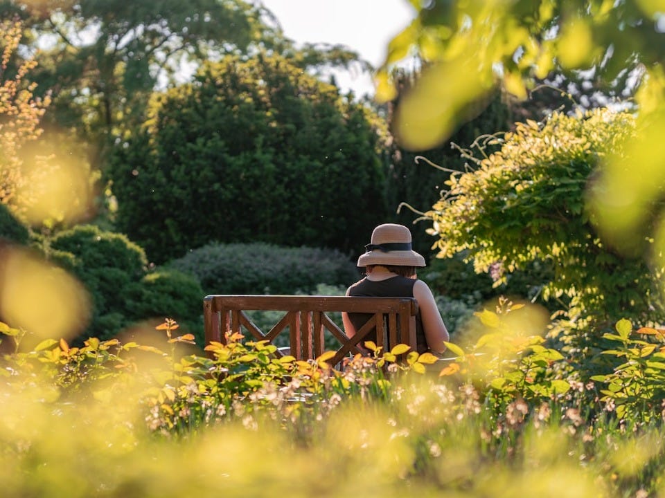 A person sits on a bench in a garden.