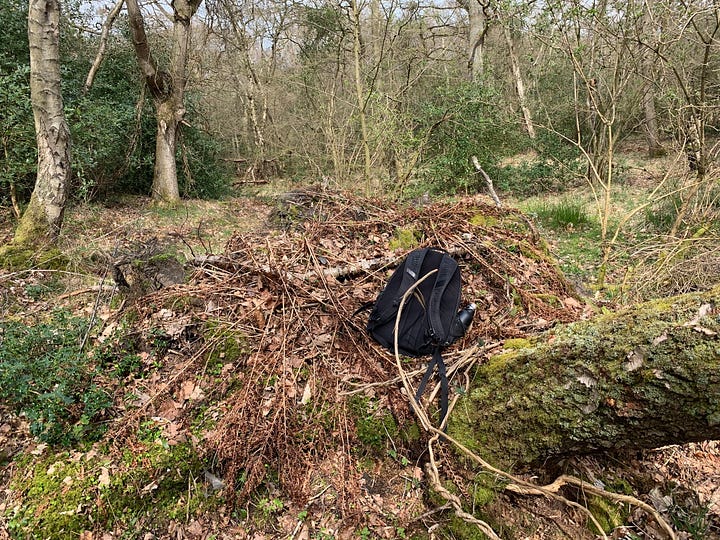 Hazard birch trees over a private woodland path