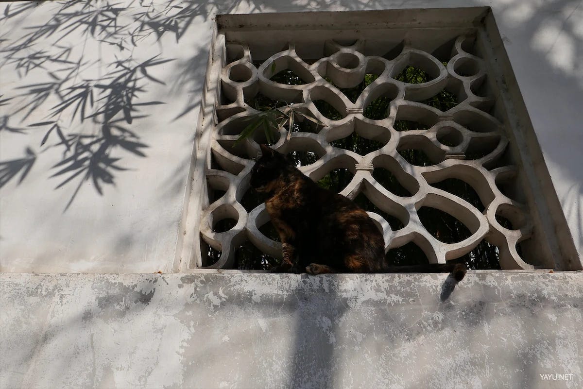 我在苏州逛园子之西园寺-雅余