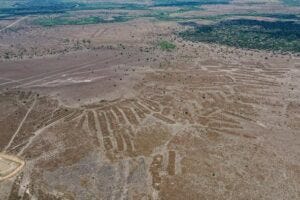 Raised cultivation platforms near Lake Ginebra Photo: O. Torrico/WCS-Bolivia.