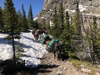 Horses carrying a pack of luggage on a snowy mountain
Description automatically generated with medium confidence
