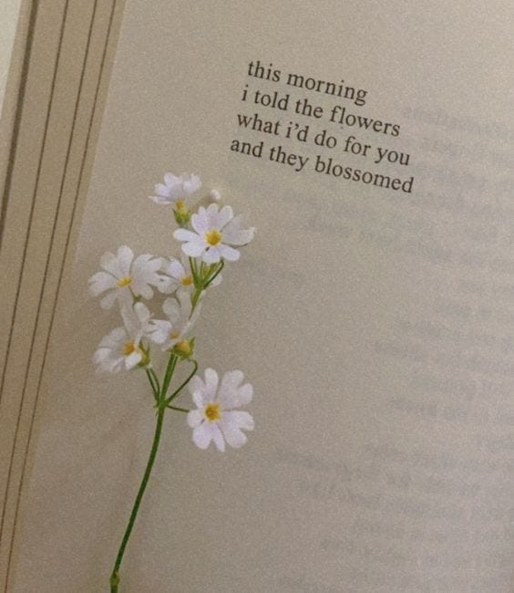 This Morning I Told The Flowers What I'd Do For You And They Blossomed