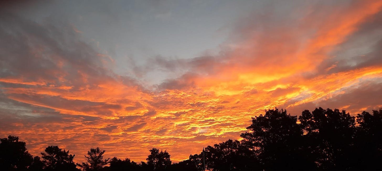 Clouds lit gold and orange by the rising sun.