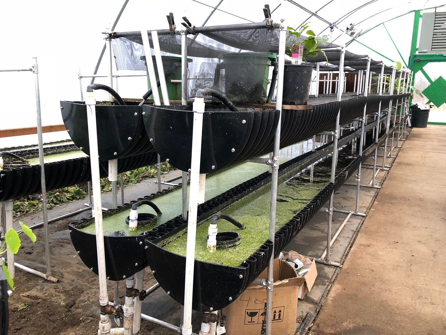 vertical hydroponics systems