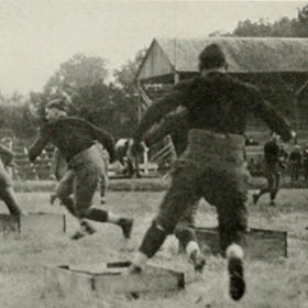 Today's Tidbit... Early Agility Drills