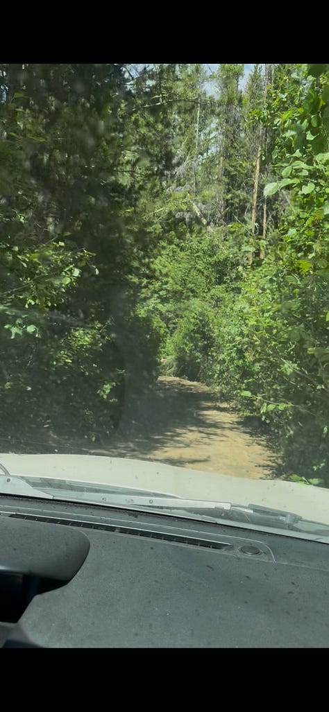 Take the road at the road bend to Horse Creek Pass