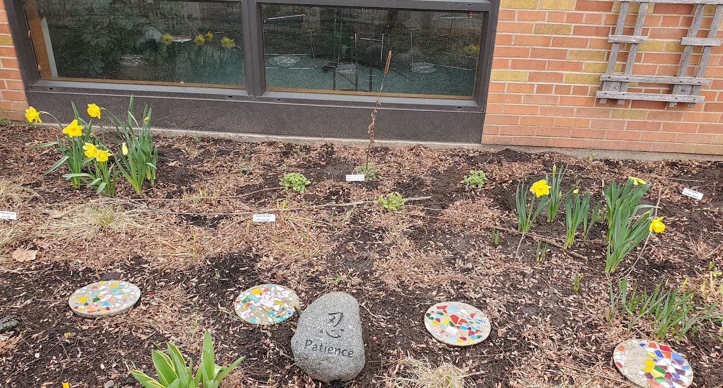 Garden with rock printed Patience, and daffodils Garden with rock printed Patience, and daffodils