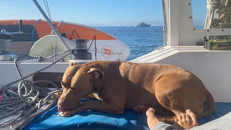 Photos of life on the boat