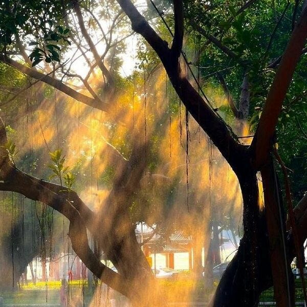 warm sunlight ☀️\ud83d\udd6f️