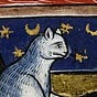 Medieval Cat's avatar