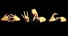juju⋆˚࿔