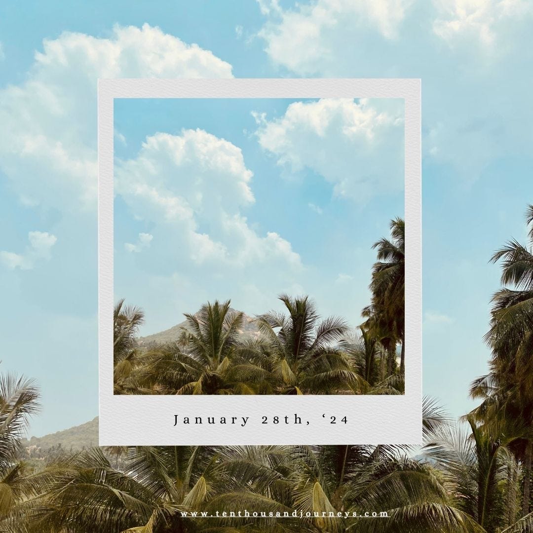 Clouds moving across the sky and the silhouette of palms Clouds moving across the sky and the silhouette of palms