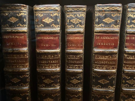 A series of nine photos inside the new library at MONA art museum shows shelves of books, reading lounges, cheeky covers, artist books, globes and more.