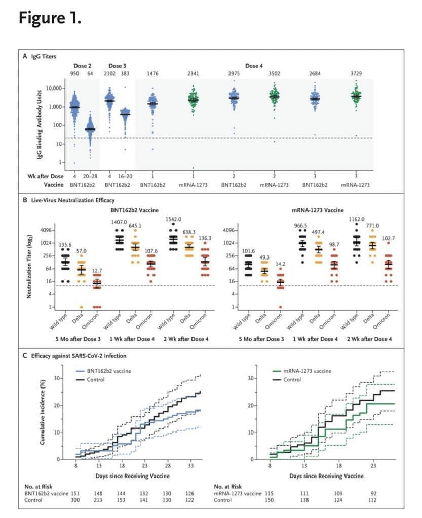 May be an image of text that says 'Figure 1. Titers Dose Dose3 2102 383 2341 Dose4 2975 3502 2684 3729 Vaccine BNT162b2 16-20 NT162b2 BNT162b2 mRNA-1273 B Live-Virus Neutralization Efficacy BNT162b2 Vaccine 1407.0 645.1 BNT162b2 mRNA-1273 BNT162b2 mRNA-1273 135.6 107.6 966.5 mRNA-1273 Vaccine 1162.0 771.0 102.7 王 101.6 Delta Dose3 Delta Dose4 after Dose Infection 5Mo NT162b2 vaccine Control Wildtype Delta Delta Dose3 1Wk after Dose4 2Wkaft Dose4 20- 30- mRNA- Control vaccine 20- No. Risk vaccine Control Receiving Vaccine 126 130 No, Risk vaccine 115 150 since Receiving Vaccine Control 138 103 124 92 112'