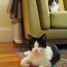 this is a newsletter