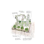 An easy recipe for a vegetable bed, and the best cherry blossom