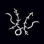 Larry Donahue's avatar