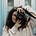 Avatar di Imma Rhamely Borrelli