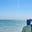 areesh ˖°𓇼🌊⋆🐚🫧's avatar