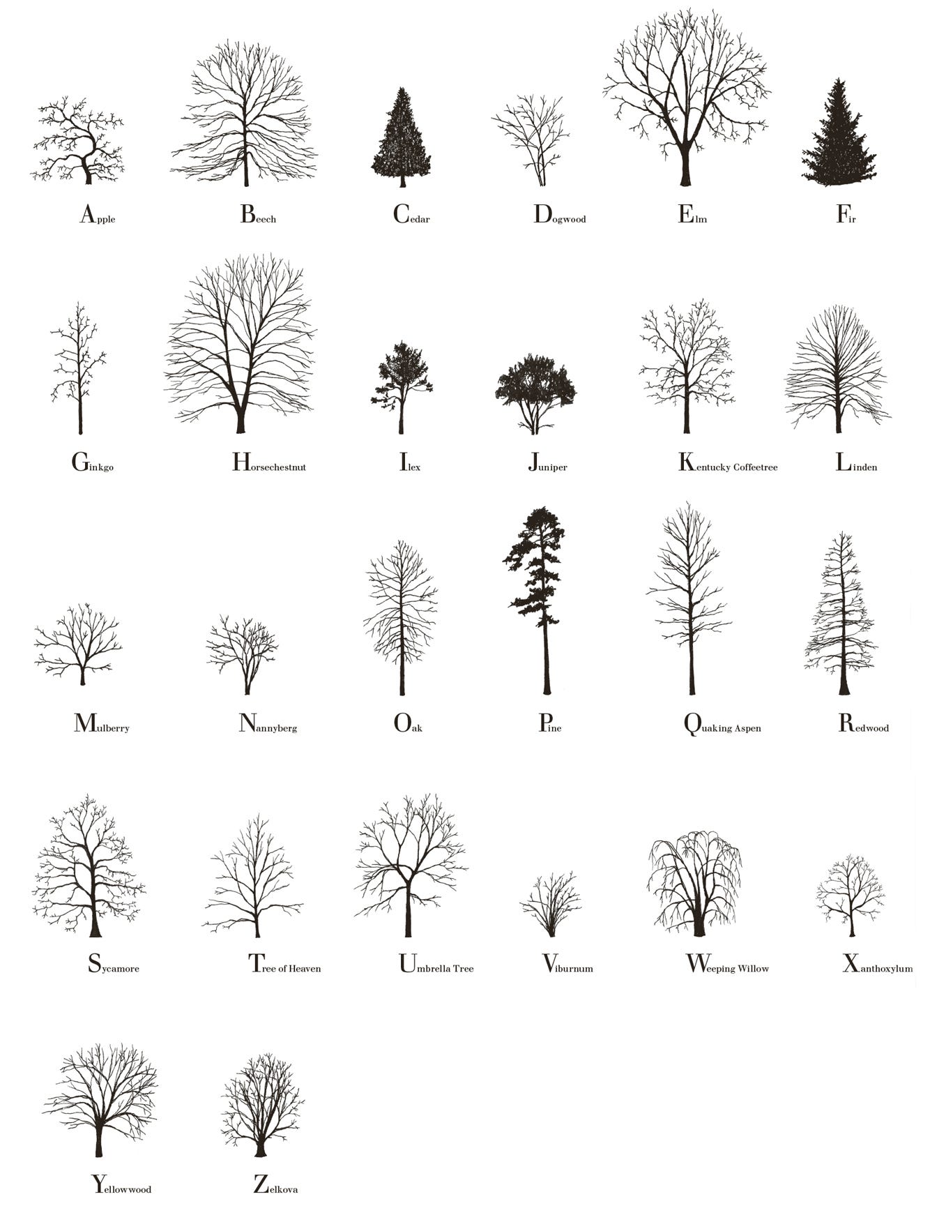 Tree Alphabet,&nbsp;2015, handmade offset print on paper, 308gm, 50 x 70 cm, edition of 50. Signed, numbered and dated by the artist. Buy prints here.