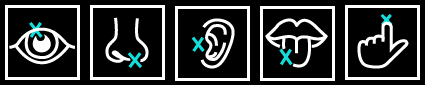 icons of senses: eye, nose, mouth, ear, hand