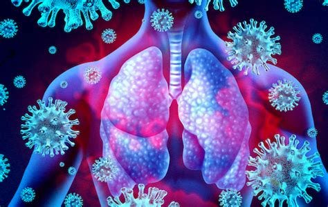 Life cycle of a coronavirus: How respiratory illnesses harm the body | COVID | Lungs ...