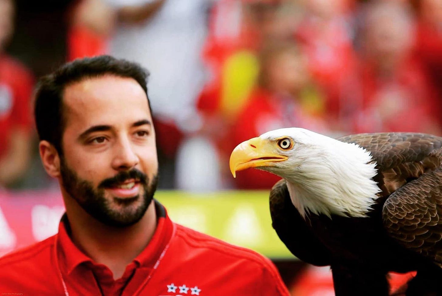 André Rodrigues, treinador de águias, com Vitória — PiT