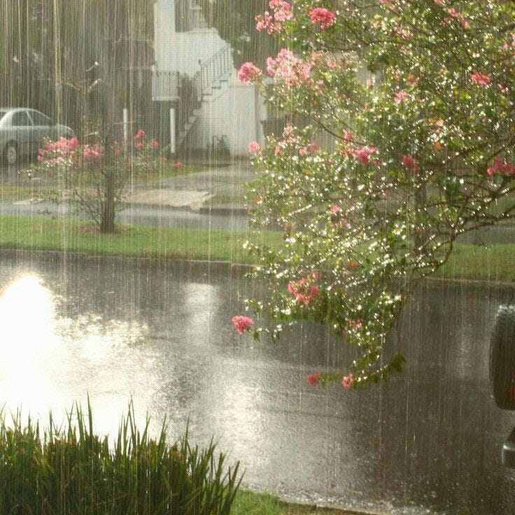 It Rained On the First Day of Spring