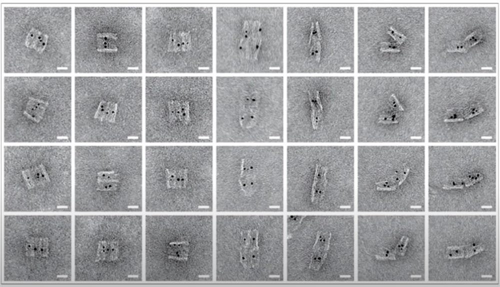 How They Make Injectable Nano-Bots