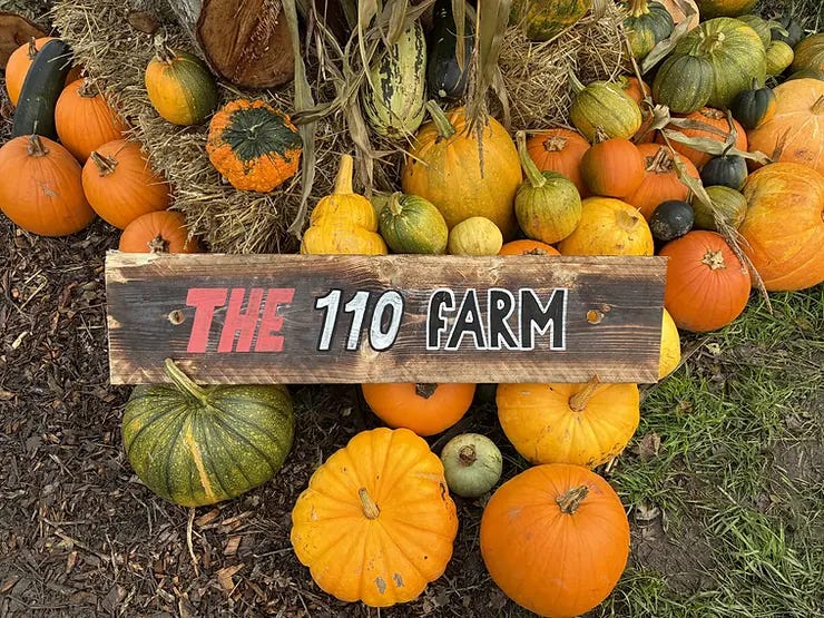 The 110 Farm sign - hand pained by 'doodles_by_sherry'