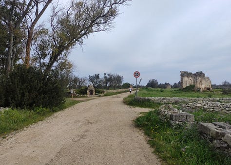 Views from the course, showing mostly wide paths and some narrower ones surrounded by grass