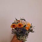 Cartas à Irene • # 2