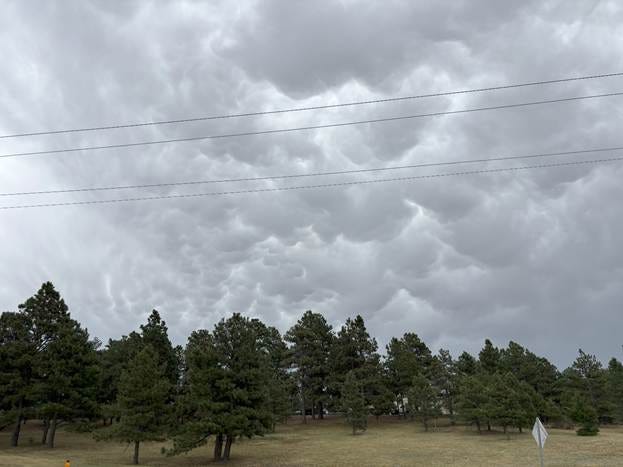 A group of trees and a cloudy sky

AI-generated content may be incorrect.