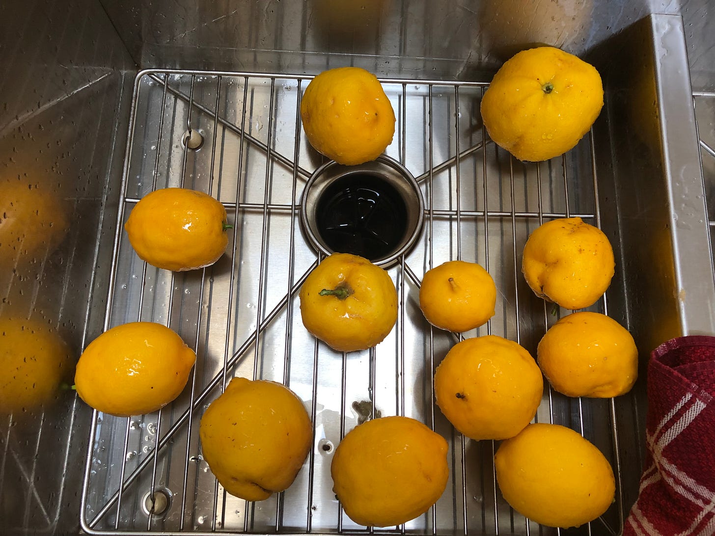 Lemons in a stainless steel sink.