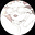baby_slark's avatar