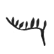 Mary’s Substack
