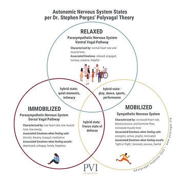 Autonomic Nervous System  diagram Polyvagal Theory Stephen Porges PVI2023.jpg